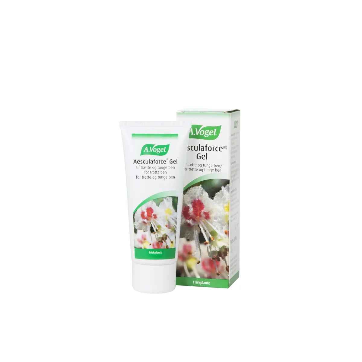 VOGEL AESCULUS GEL (HOBUKASTANIGEEL) 100G