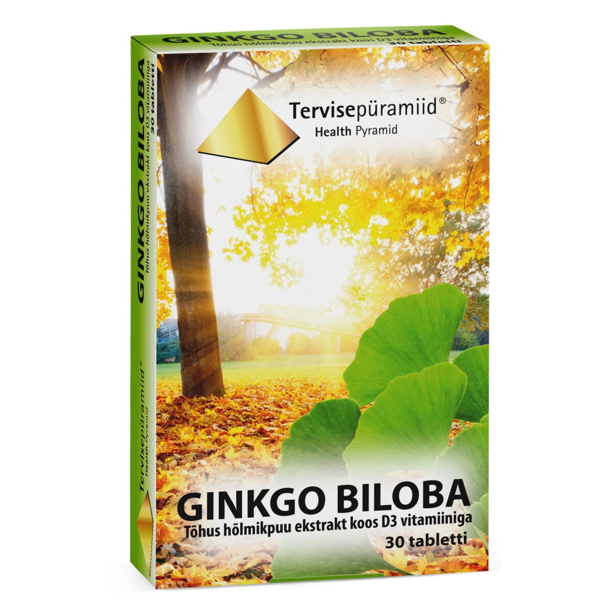 TERVISEPÜRAMIID GINKGO BILOBA TBL N30 - Изображение товара