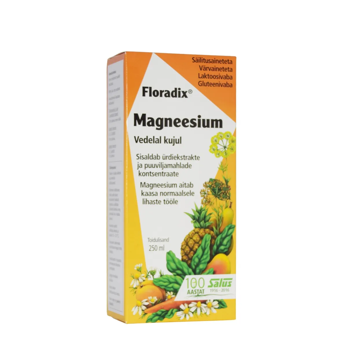 SALUS FLORADIX MAGNEESIUM 250ML ÜRDI-MAHLAKONTSENTRAAT - Изображение товара