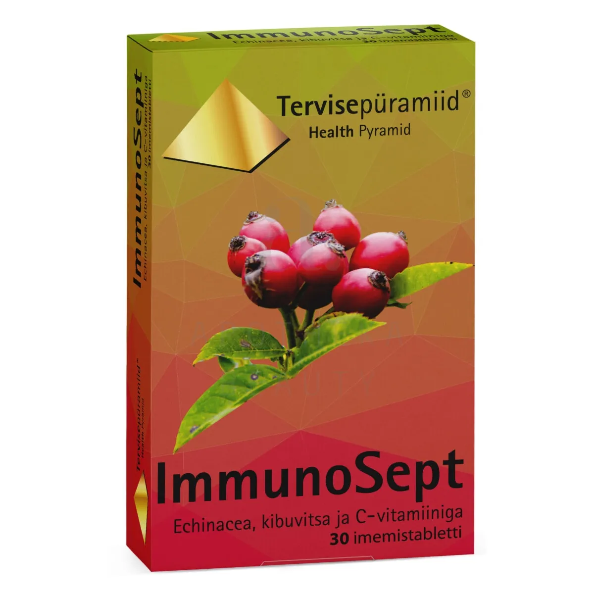 TERVISEPÜRAMIID IMMUNOSEPT NÄRIMISTABLETT N30 - Изображение товара