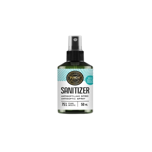 PUNCH SANITIZER KÄTE DESINFITSEERIMISVAHEND 50ML PIHUSTIGA