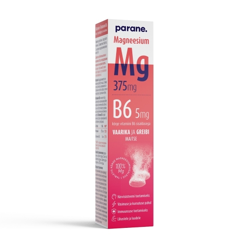PARANE MAGNEESIUM 375MG+B6 5MG N20